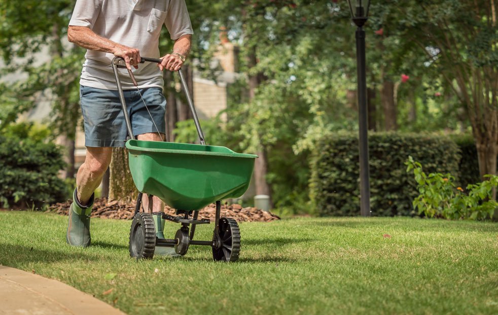 lawn-care-greenfield-lawn