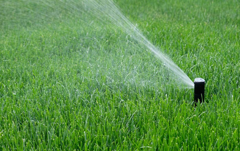 sprinkler-repair-greenfield-lawn